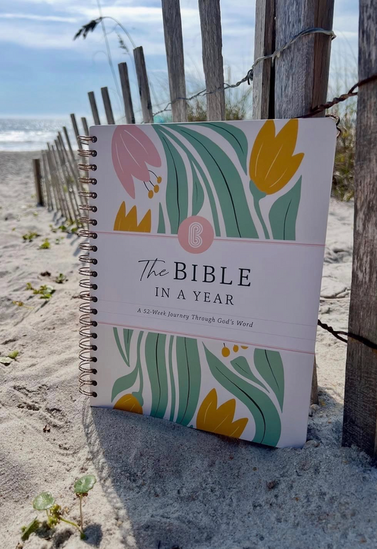 A Beautiful Year in the Bible Devotional
