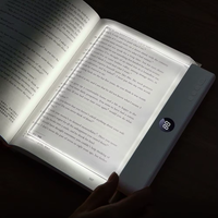 LED Bible Light
