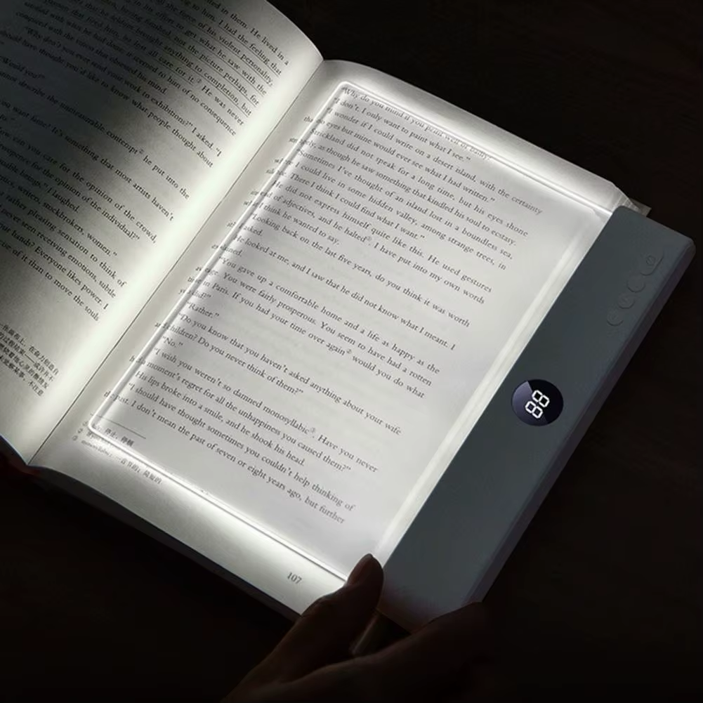 LED Bible Light